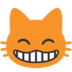 :smile_cat: